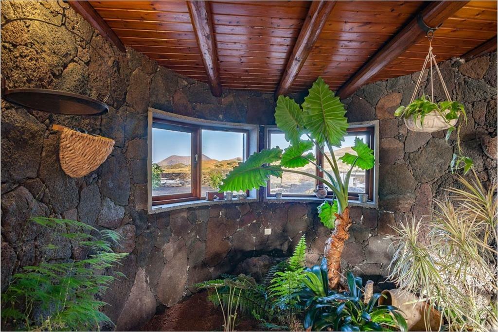Villa Eloisa Тинахо Экстерьер фото